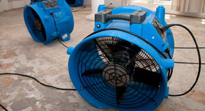 Picture of a village square